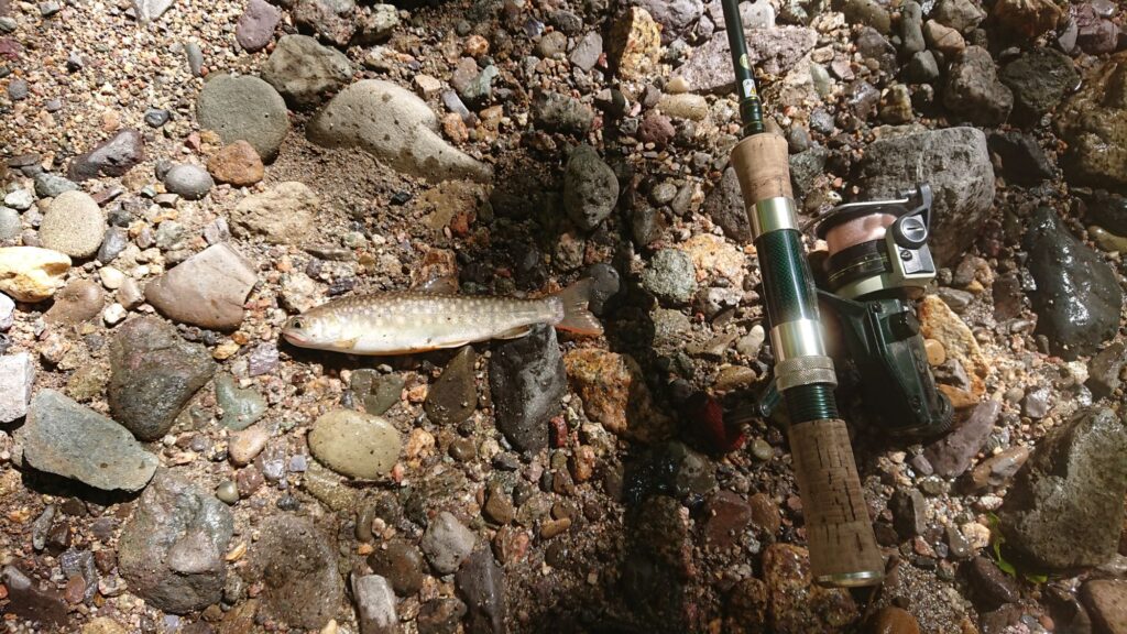 旅 バイク 釣り ピックアップで行く