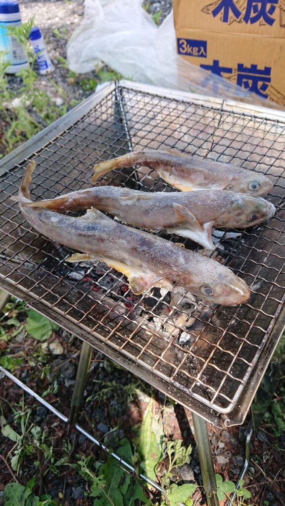 旅 バイク 釣り ピックアップで行く