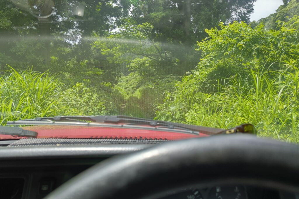 旅 バイク セロー ピックアップで行く