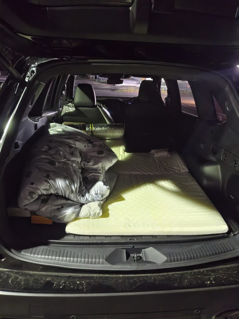 ボロ車　新車　自作シャリー　カブ　車中泊　釣り　キャンプ