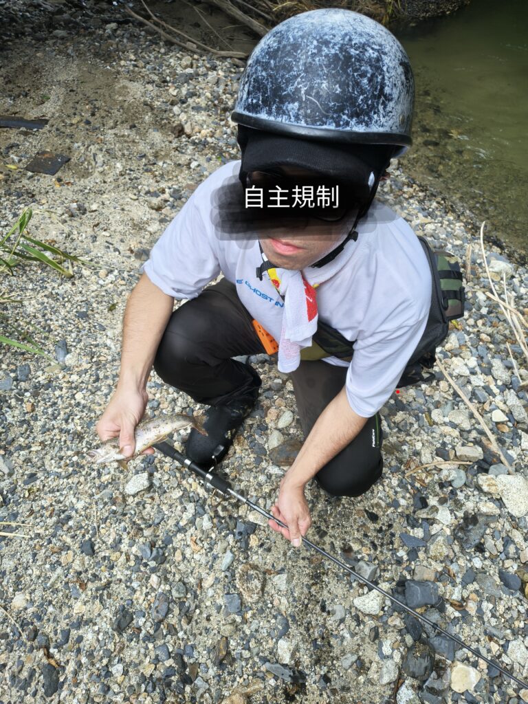 ボロ車　新車　自作シャリー　カブ　車中泊　釣り　キャンプ　道の駅