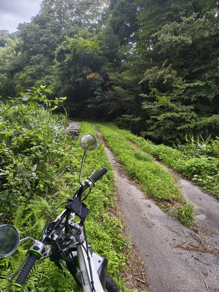 ボロ車　新車　自作シャリー　カブ　車中泊　釣り　キャンプ　道の駅
